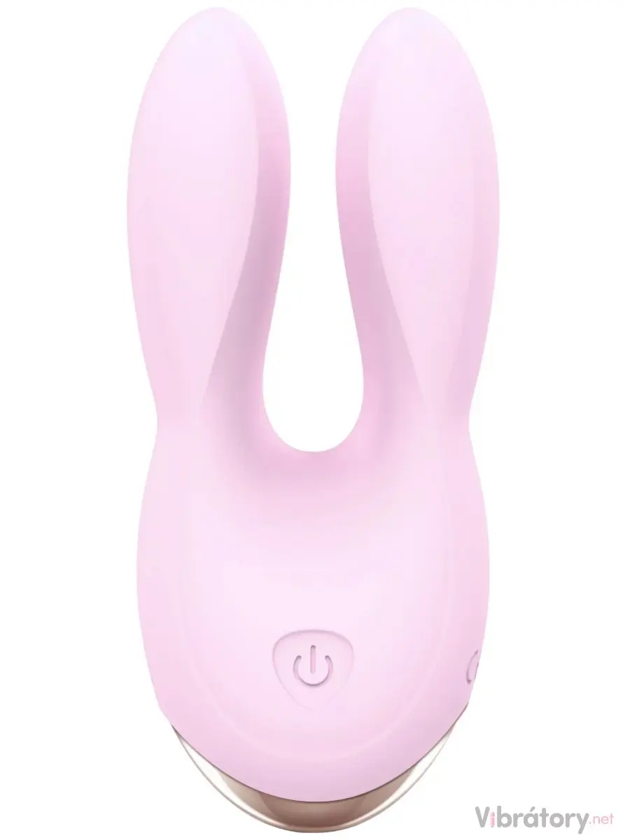 Dvojitý mini vibrátor Hear Me