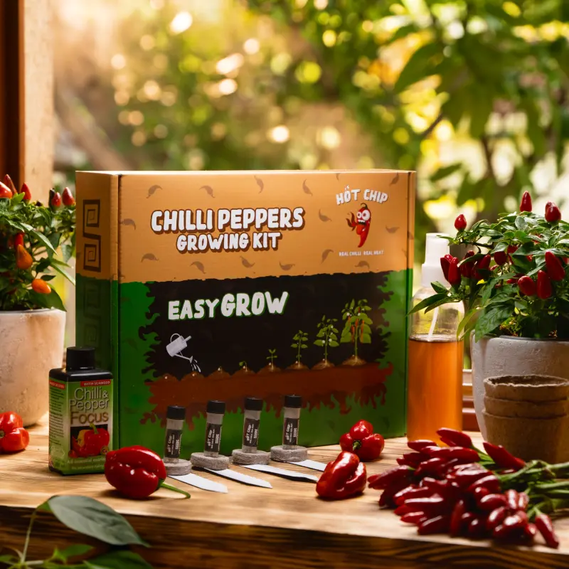 Dárková sada na pěstování chilli papriček - Easy Grow