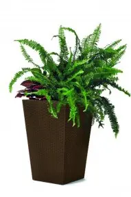 Keter Rattan květináč S 23,6 l