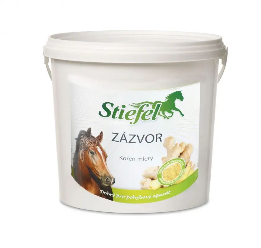 Zázvor zdravý pohybový aparát 1kg (Stiefel Zázvor pro zdravý pohybový aparát, kyblík 1 kg)