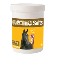 Electro Salts, elektrolyty v prášku při nadměrném pocení (NAF Electro Salts, elektrolyty v prášku při nadměrném pocení, balení 1000g)