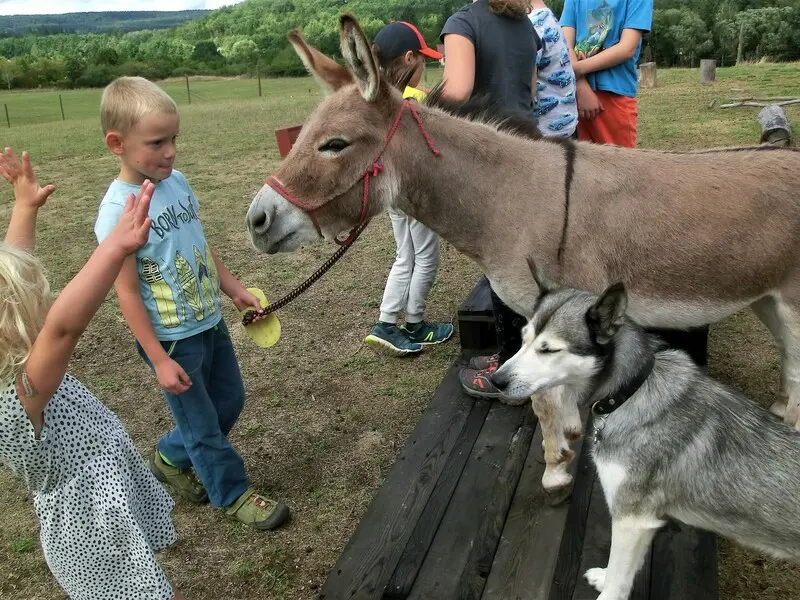Zážitek - Rodinná exkurze na farmě Vyrazte za zážitky do Středočeského kraje