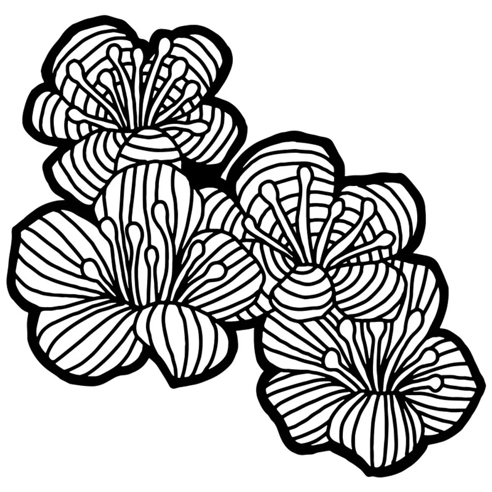 The Crafter´s Workshop Šablona TCW - Hawthorn Flowers - VYBERTE VELIKOST - Šablona TCW 12"x12" (30,5x30,5 cm) - Hawthorn Flowers