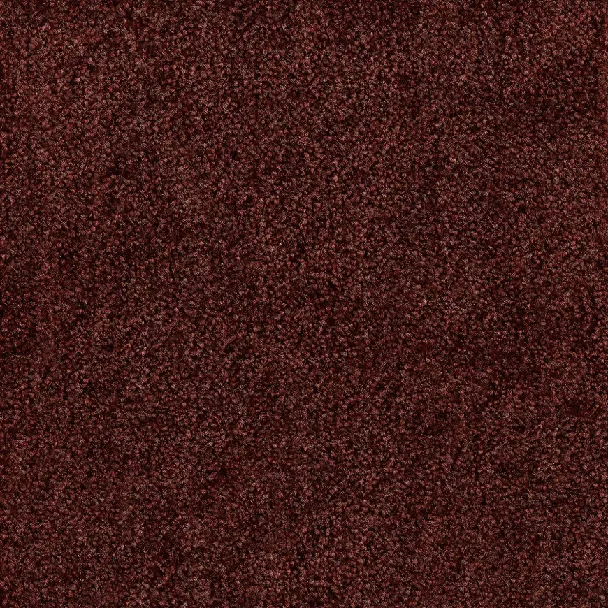 Kobercová krytina 5M Sahara 10