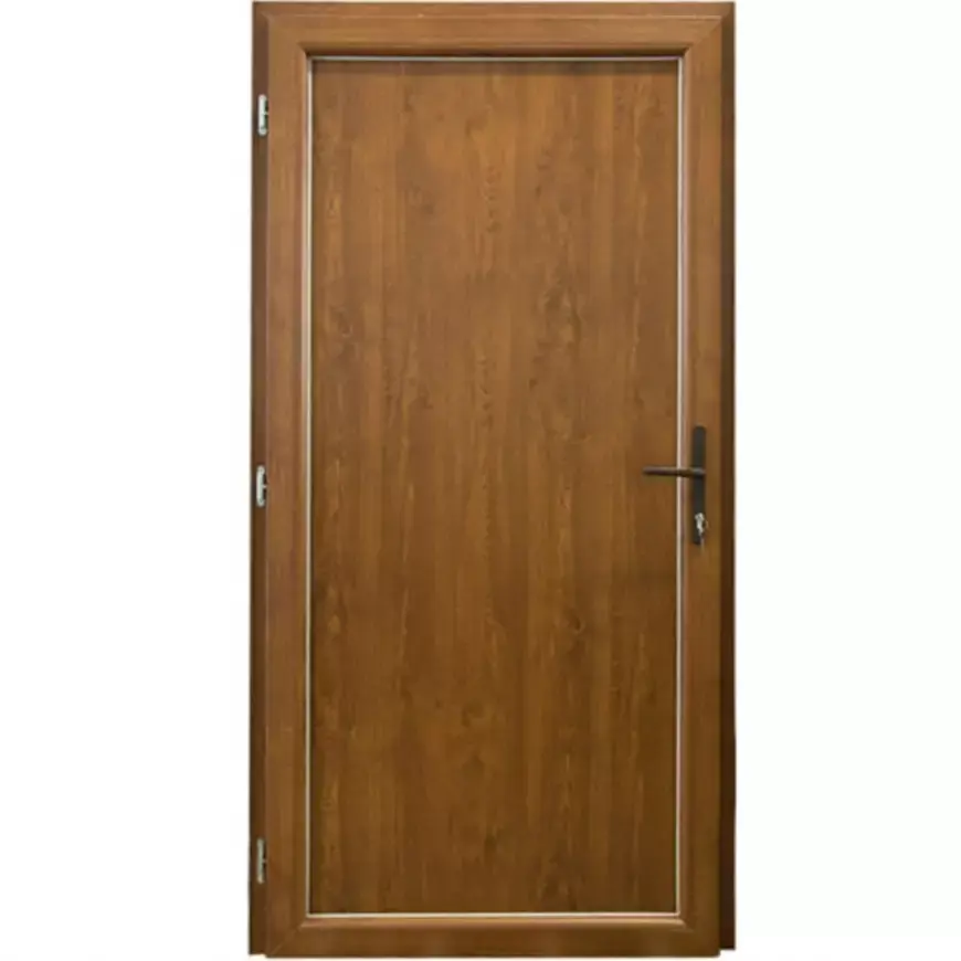 Vchodové dveře Larino Eco D18 90L 100x208x6 zlatý dub