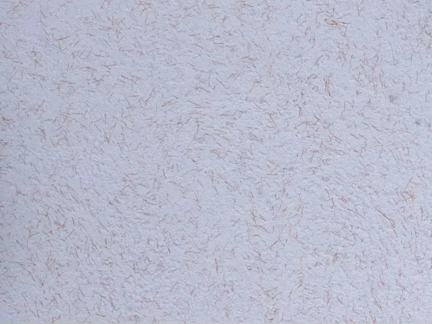 POLDECOR bavlněné tapety vzor 22/4