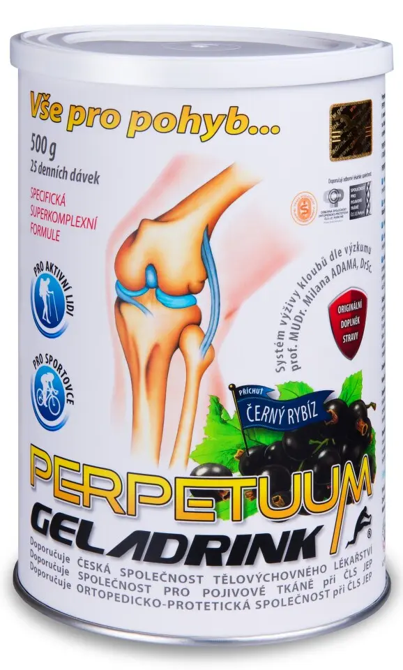 GELADRINK Perpetuum nápoj černý rybíz 500 g