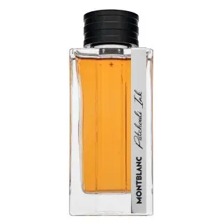 Mont Blanc Patchouli Ink parfémovaná voda pro muže 125 ml