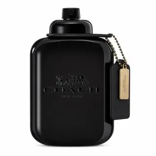 Coach Coach for Men parfémovaná voda pro muže 100 ml