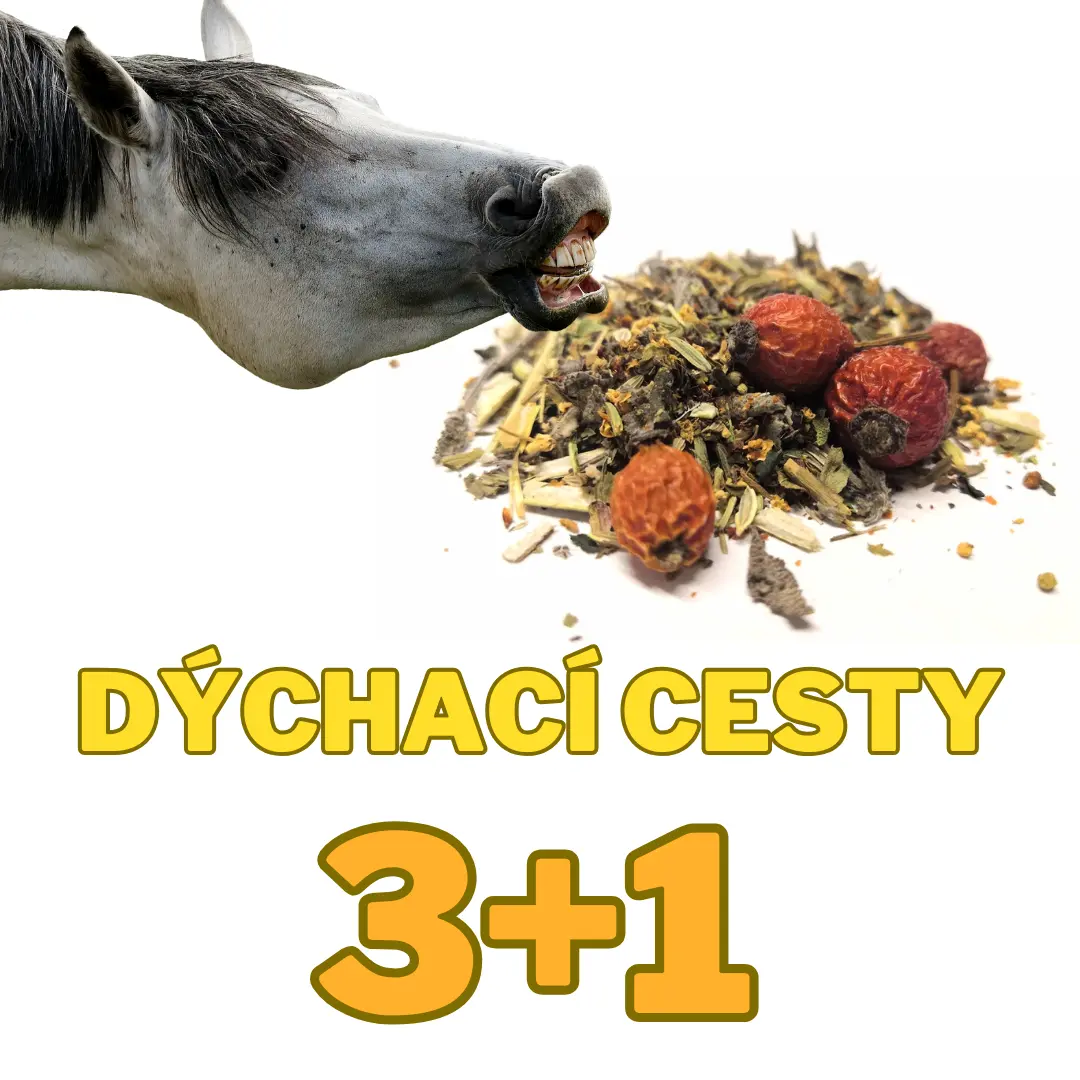 Bylinky na dýchací cesty 3+1 kg ZDARMA (Cena je celkem za 4 kg !)