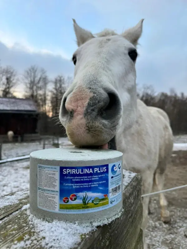 Minerální liz z mořské soli se spirulinou vitamíny a esenciální živiny 3 kg (Speciální receptura se spirulinou bohatou na vitamíny a esenciální)