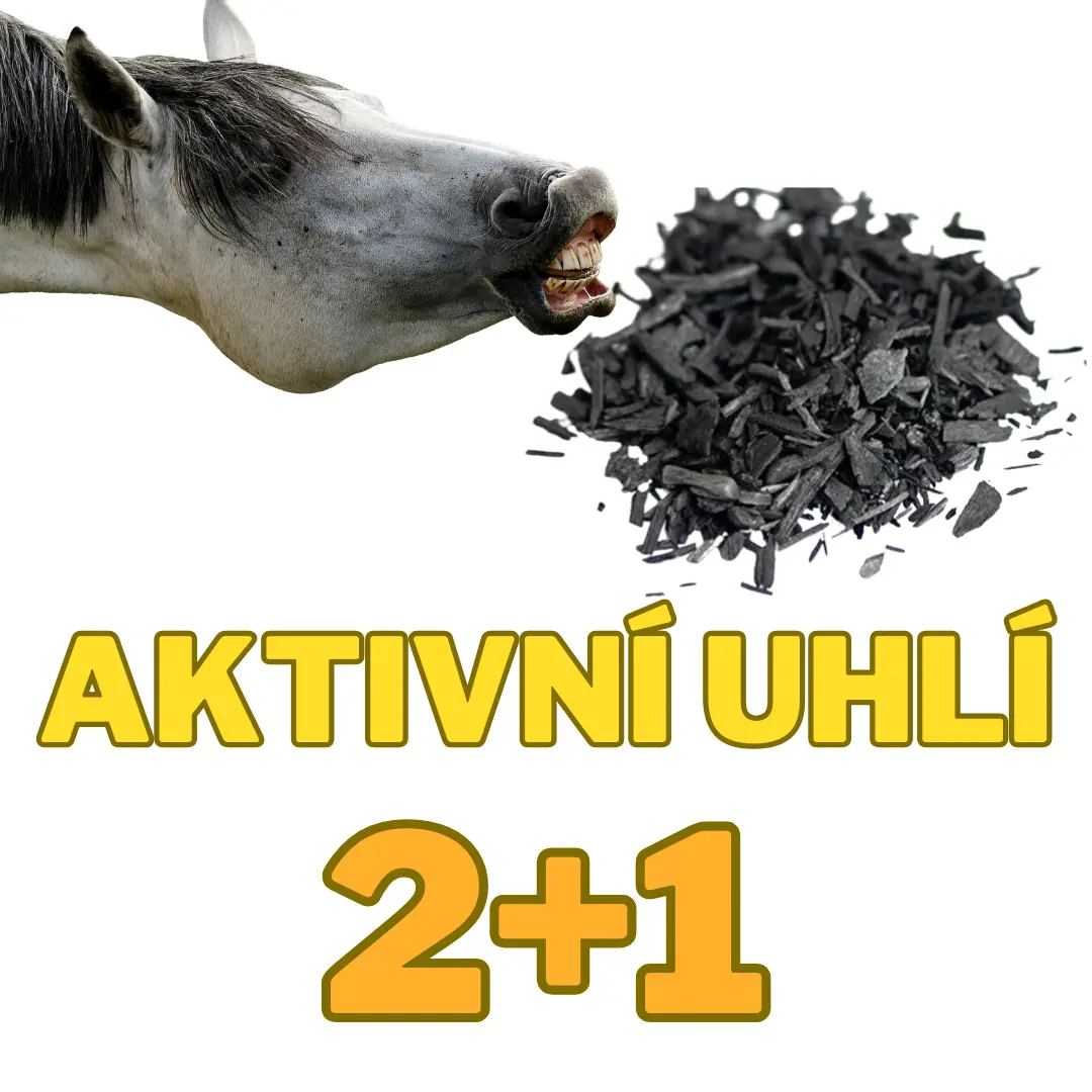 Biochar aktivní uhlí 1,6 kg 2+1 ZDARMA (3x 11 litrové balení hruběji drceného biocharu)