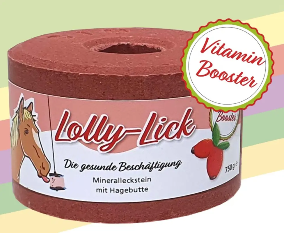 Zdravé lízátko pro koně Lolly Lick šípek 750g (zdravý liz, který pasuje do držáku Likit)