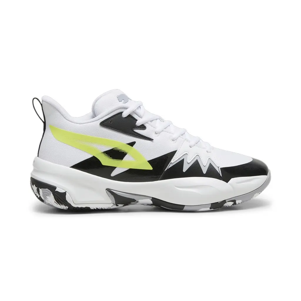 Puma Genetics
