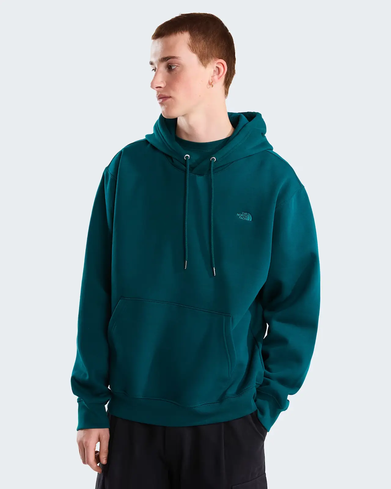 The north face m ess sd rlx hoodie