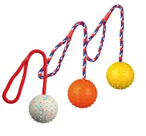 Hračka pes Míč hrbolatý na šňůrce 6cm/30cm TR