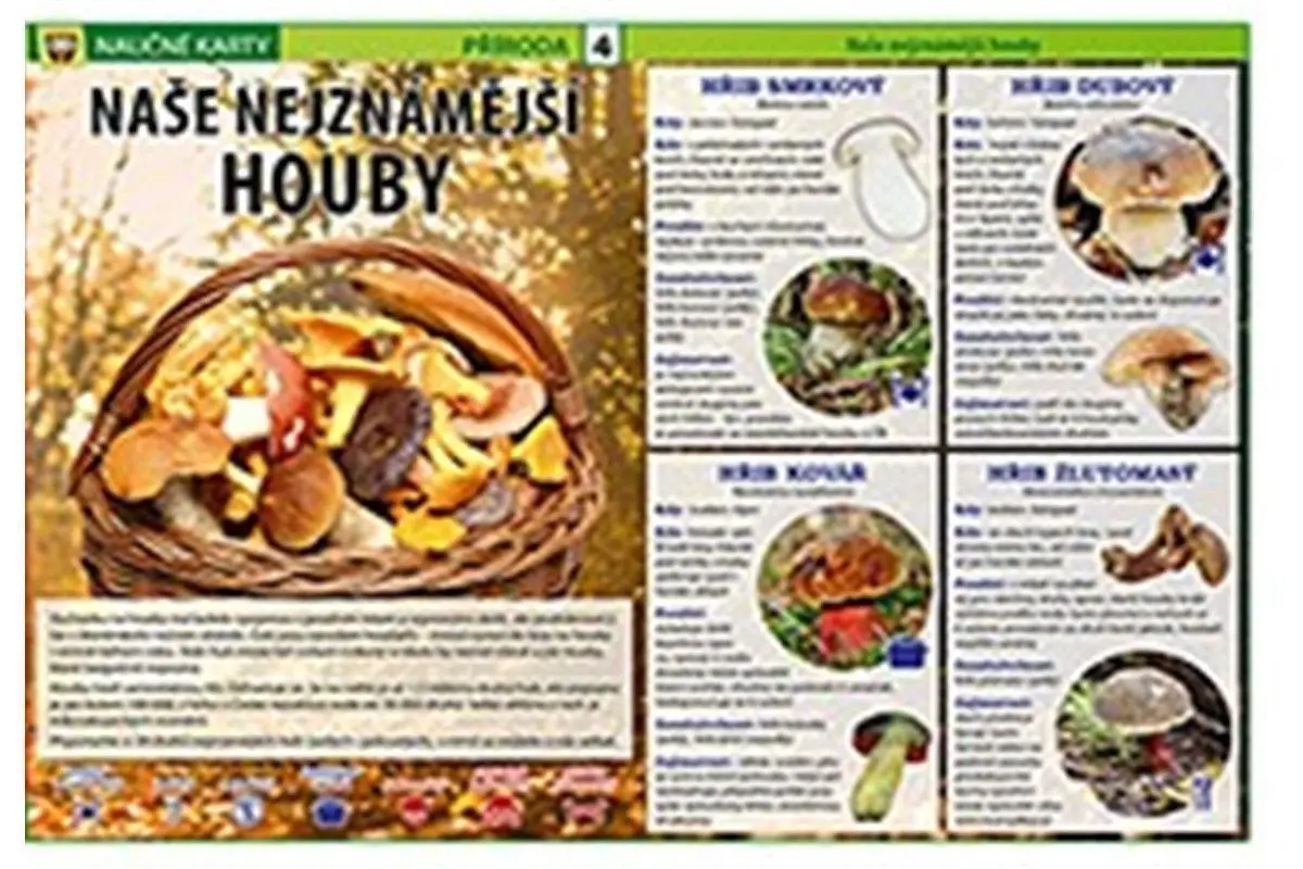 Naše nejznámější houby - Naučné karty - Martina Farkasová
