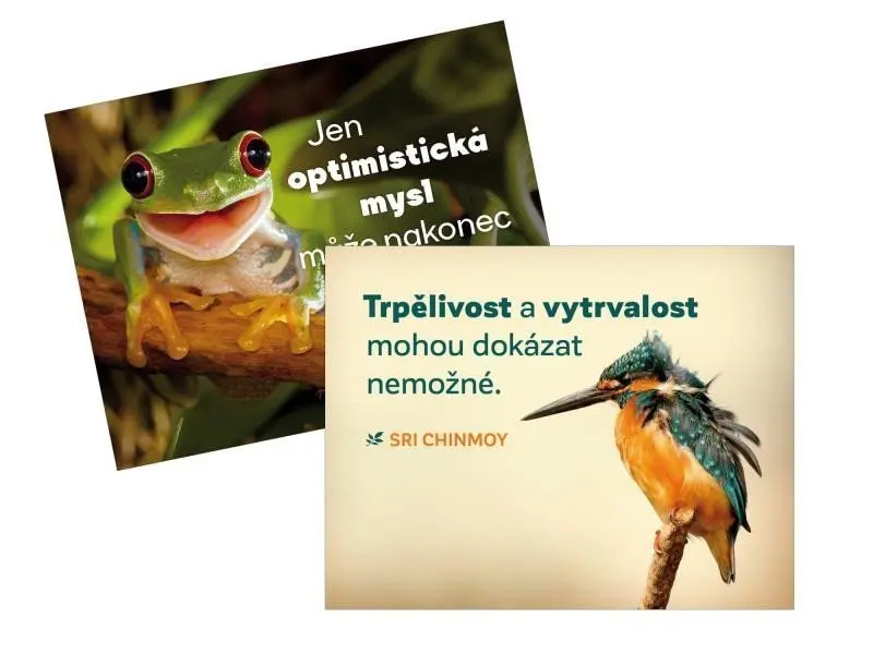 Magnet na lednici 2 ks Trpělivost + Jen optimistická - Sri Chinmoy