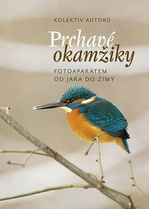 Prchavé okamžiky přírody - Fotoaparátem od jara do zimy - kolektiv autorů