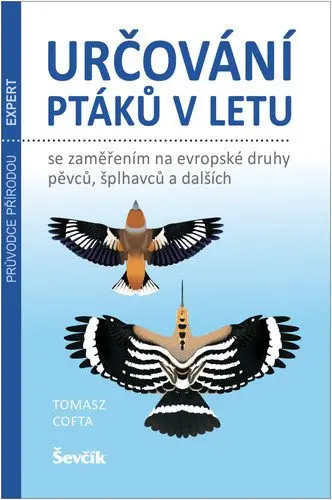 Určování ptáků v letu