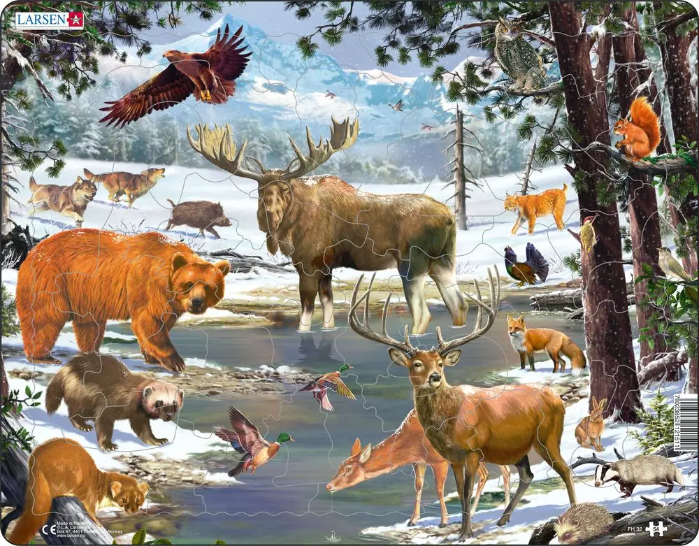 Puzzle MAXI - Krajina severního lesa/54 - Kopro