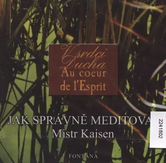Jak správně meditovat - CD - Mistr Kaisen