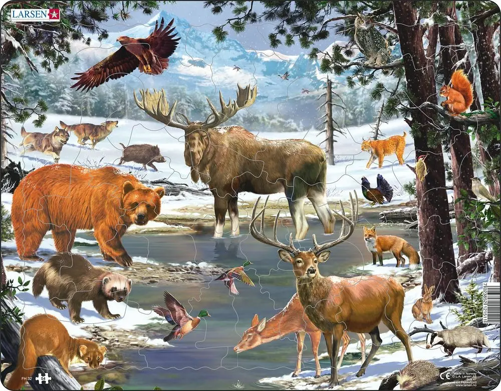 Puzzle MAXI - Krajina severního lesa/54 - Kopro