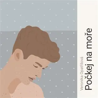 Počkej na moře - audiokniha z kategorie Spoločenská beletria