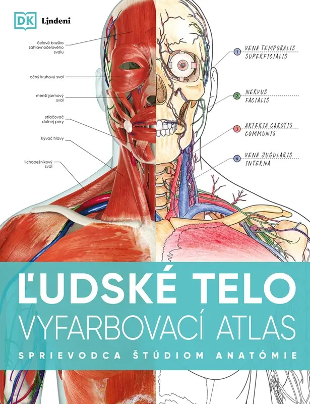 Ľudské telo - vyfarbovací ᴀtlas (Sprievodca štúdiom anatómie)