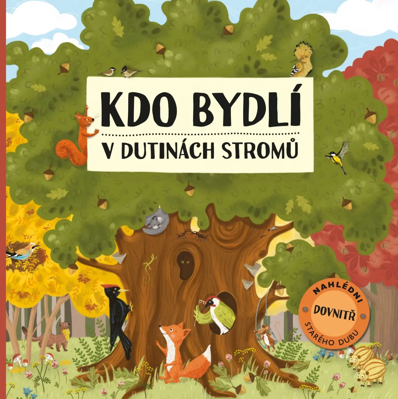 Kdo bydlí v dutinách stromů - Markéta Špačková