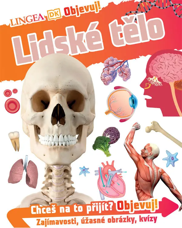 Objevuj! Lidské tělo - kolektiv autorů