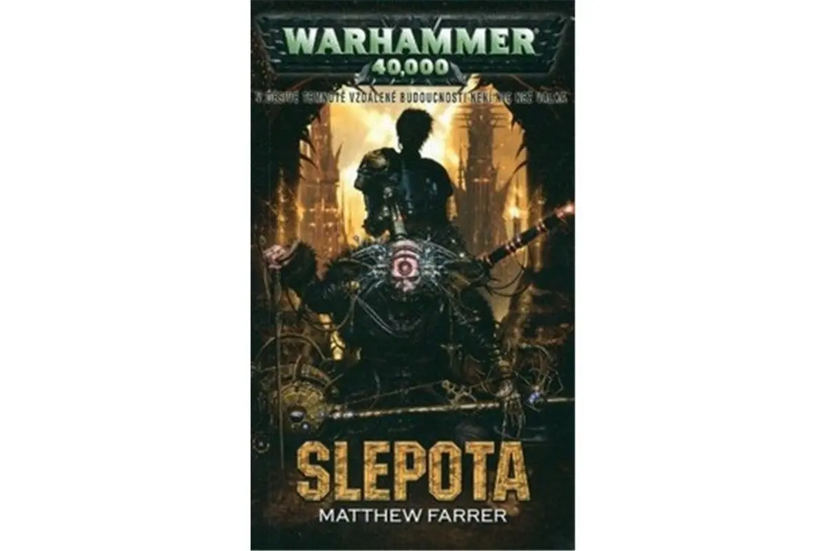 Slepota - Matthew Farrer