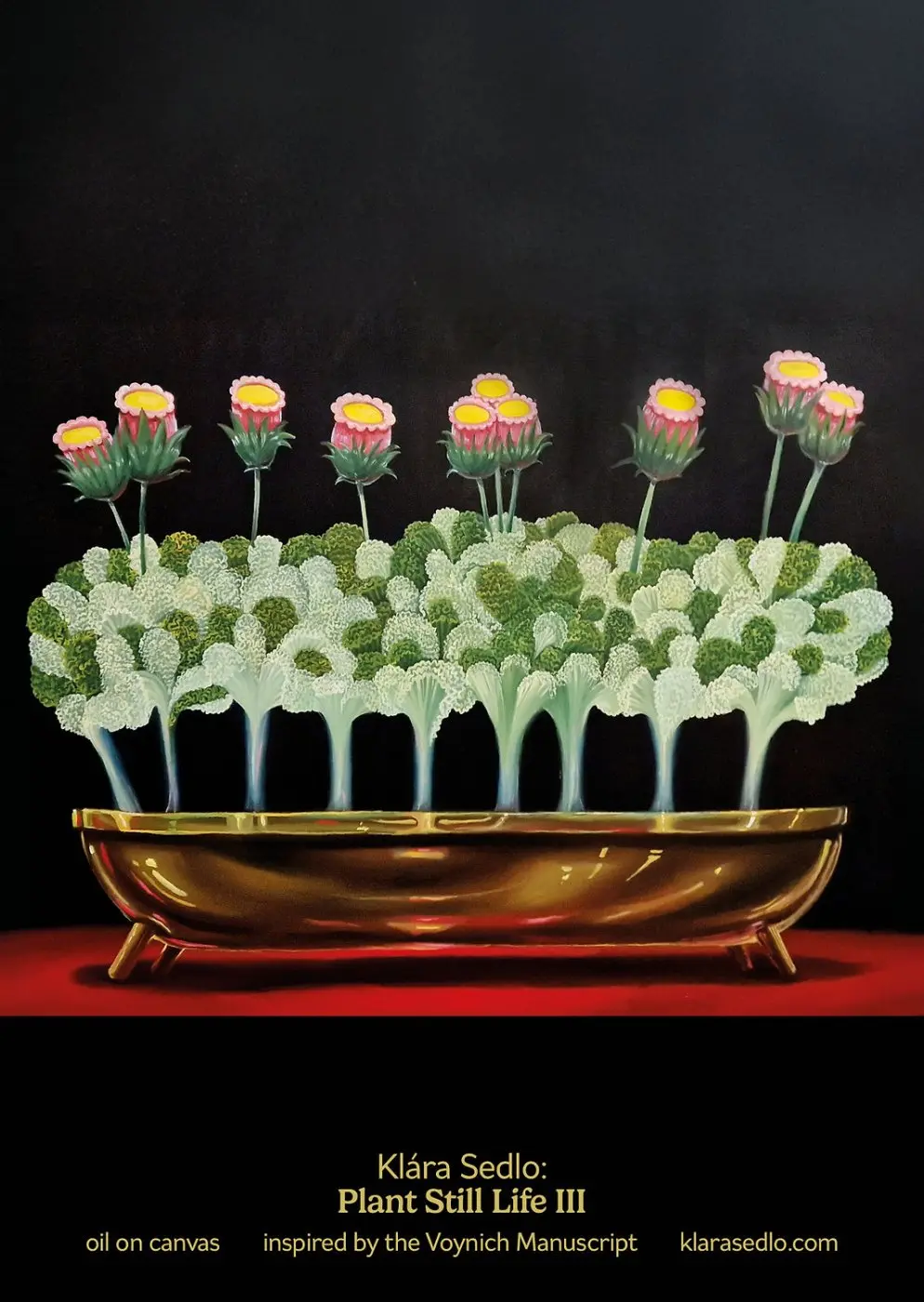 Plant Still Life III