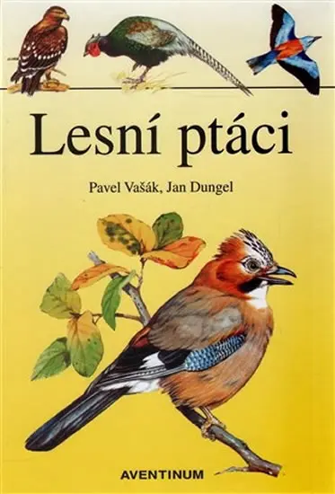 Kosmas Lesní ptáci