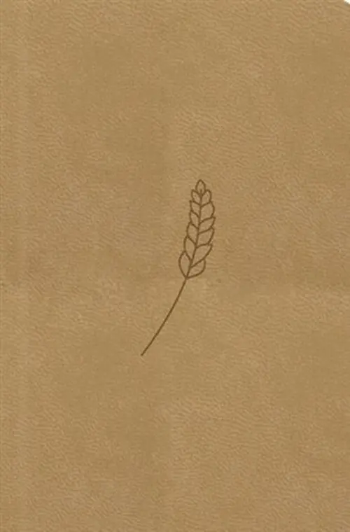 Bible, překlad 21. století (medová) - kapesní