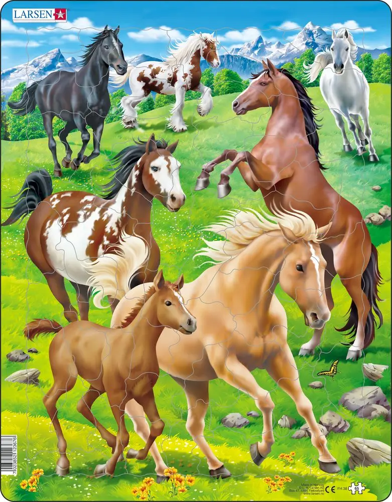 Kone FH38 - puzzle z kategorie Náučné puzzle