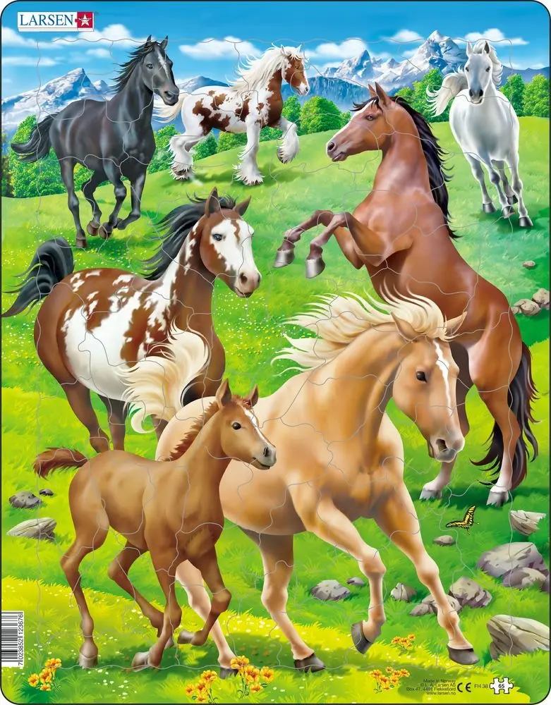 Kone FH38 - puzzle z kategorie Náučné puzzle