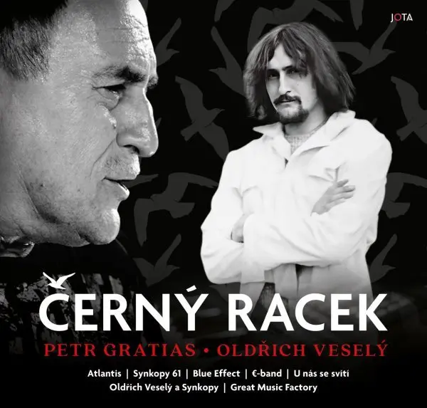 Černý racek