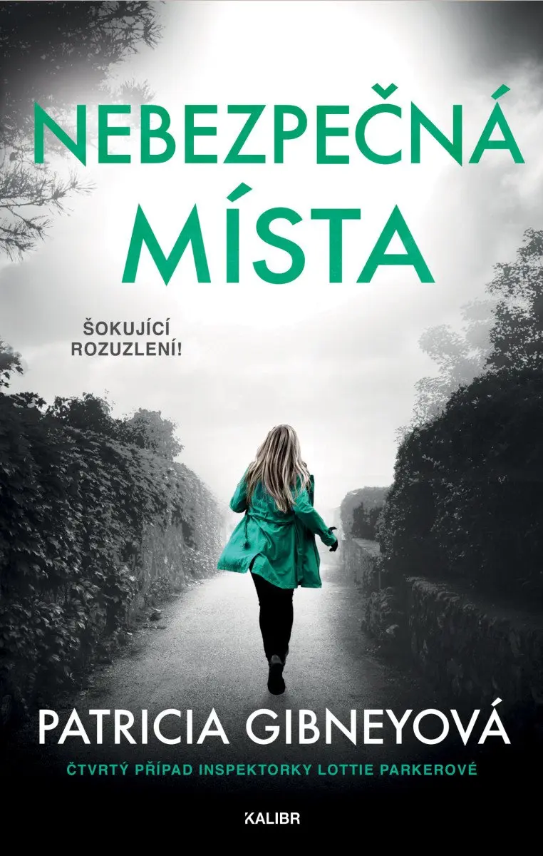 Nebezpečná místa - Patricia Gibneyová