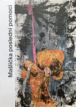 Mašlička poslední pomoci - Michal Rapant