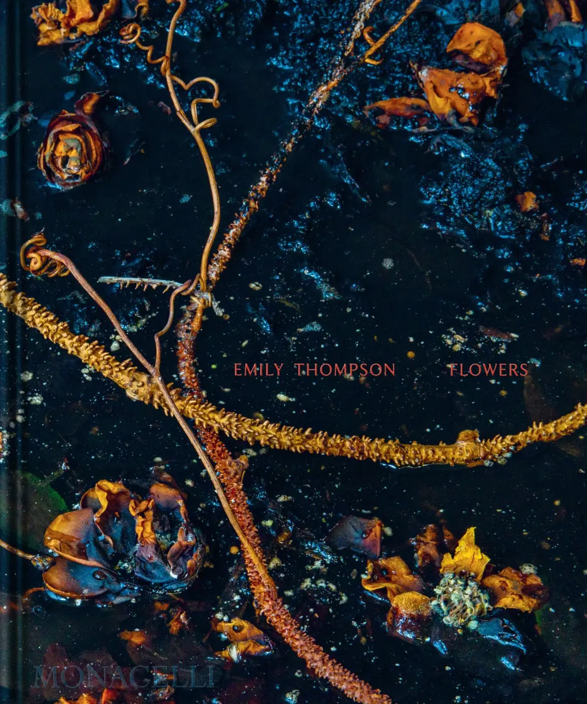 Emily Thompson Flowers - Shane Connolly