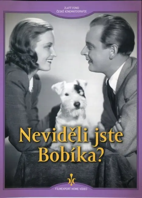 Neviděli jste Bobíka? - digipack - film z kategorie Filmy