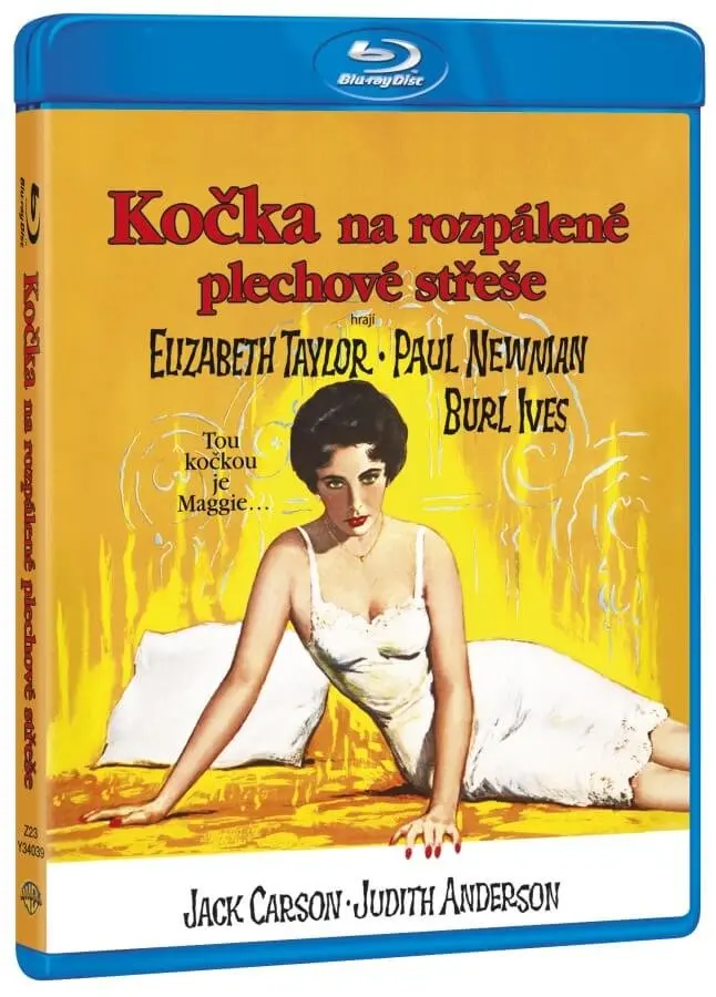 Kočka na rozpálené plechové střeše - film z kategorie Drámy