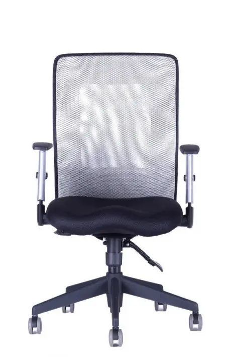 OFFICE PRO kancelářská židle Calypso XL BP šedá