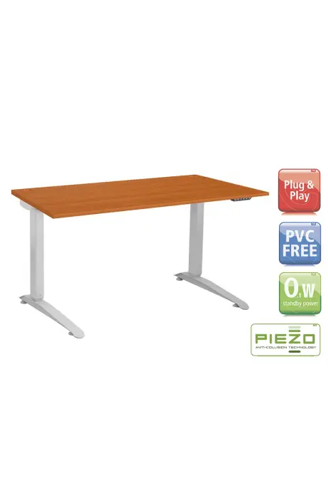 LINAK Ergo DL16 120 x 80 cm