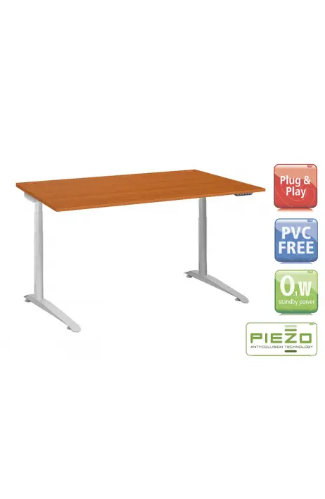 LINAK Ergo DL14 180 x 80 cm