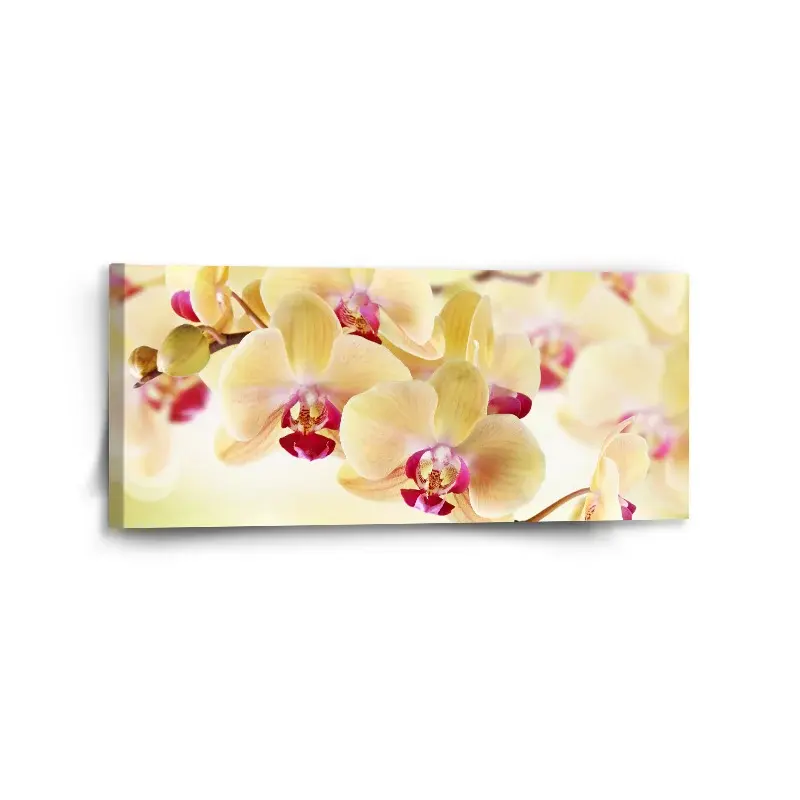 Obraz Orchidej 2 - 110x50 cm