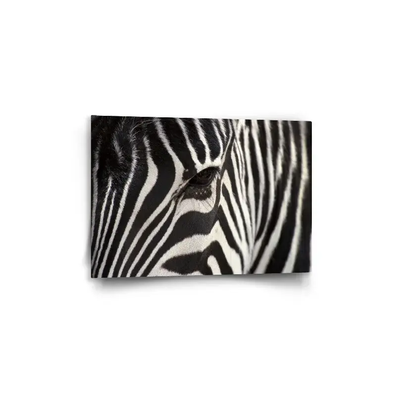 Obraz Detail zebra - 60x40 cm