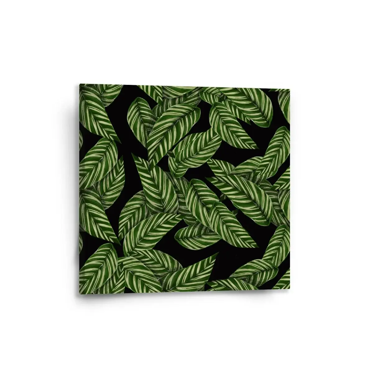Obraz Abstrakce listů - 50x50 cm