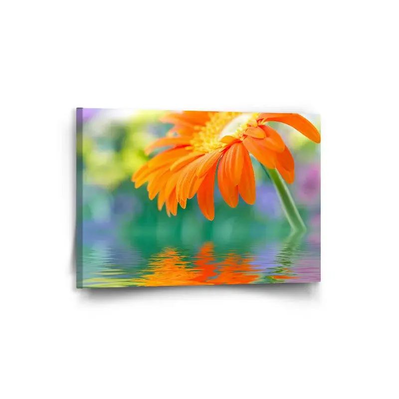 Obraz Oranžová gerbera - 90x60 cm